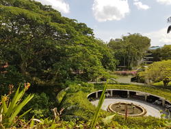 The Arcadia (D11), Condominium #144999712